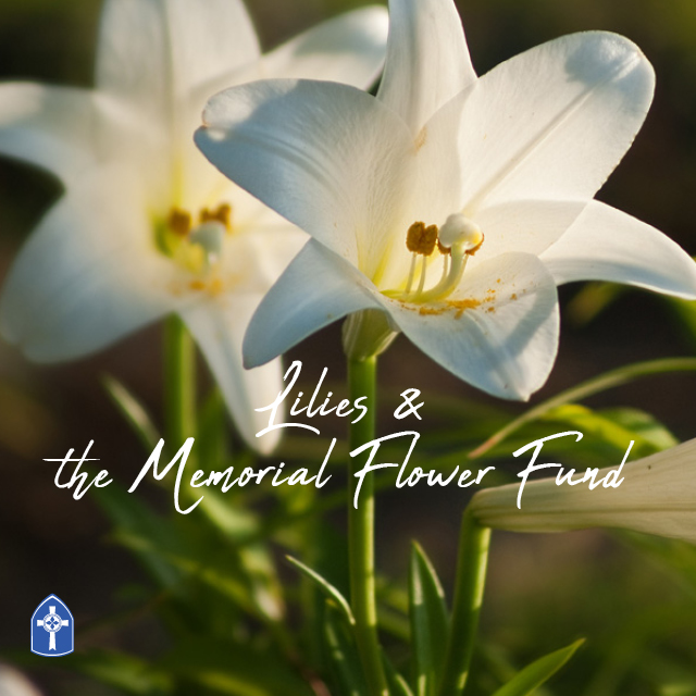 Lilies and the Memorial Flower Fund
Donate in your loved one's name.



Please donate by Sunday, April 2.
